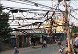 Điện và tầm nhìn Thế kỷ
